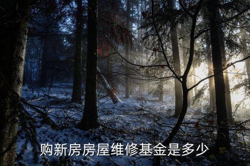 購新房房屋維修基金是多少