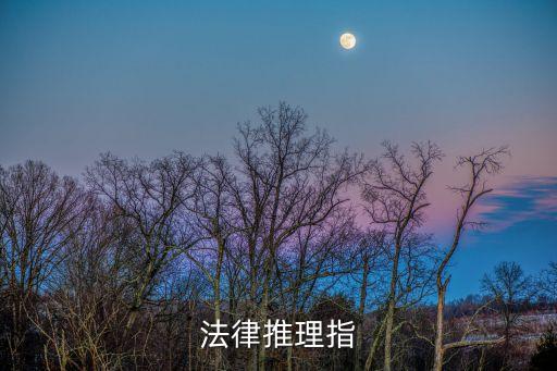 法律推理，法律推理指