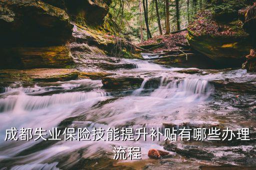 職業(yè)技能提升補貼申請，成都失業(yè)保險技能提升補貼有哪些辦理流程