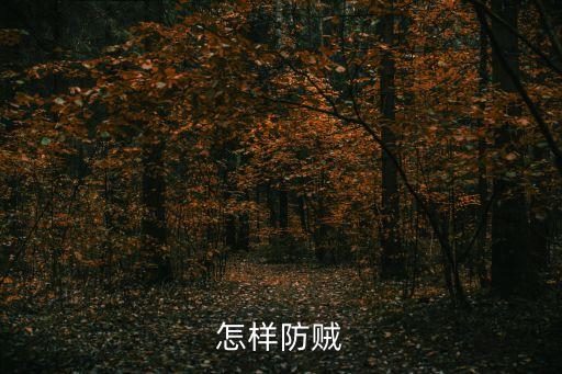 防賊，怎樣才能防賊
