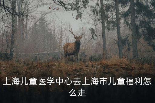 上海市兒童福利院，上海市兒童福利院