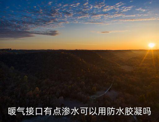 暖氣接口有點(diǎn)滲水可以用防水膠凝嗎
