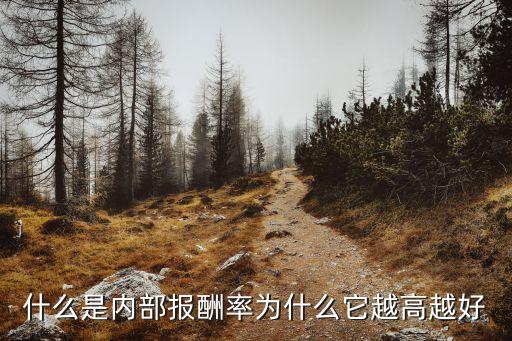 內(nèi)部報(bào)酬率，財(cái)務(wù)里面內(nèi)部報(bào)酬率有什么用要自己解釋的