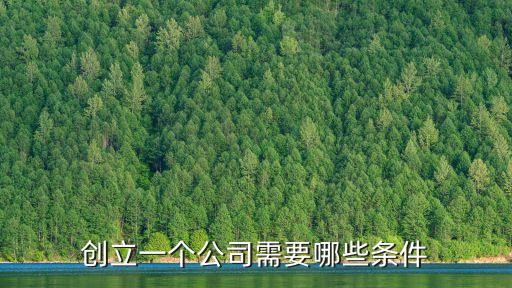 創(chuàng)立一個(gè)公司需要哪些條件