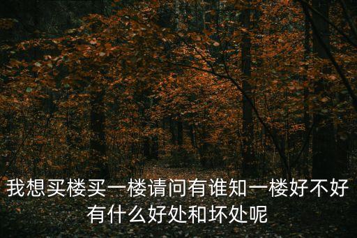 我想買樓買一樓請問有誰知一樓好不好有什么好處和壞處呢