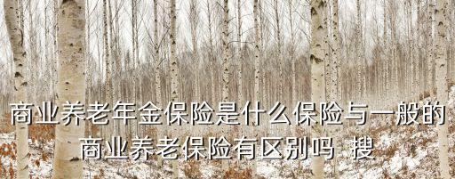 商業(yè)養(yǎng)老年金保險(xiǎn)是什么保險(xiǎn)與一般的商業(yè)養(yǎng)老保險(xiǎn)有區(qū)別嗎  搜