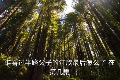 誰看過半路父子的江欣最后怎么了 在第幾集