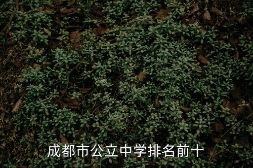 成都市公立中學排名前十