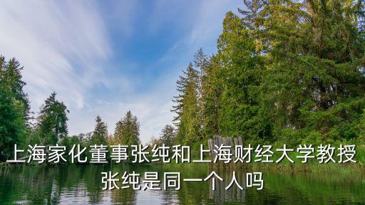 張純，上海家化董事張純和上海財(cái)經(jīng)大學(xué)教授張純是同一個(gè)人嗎