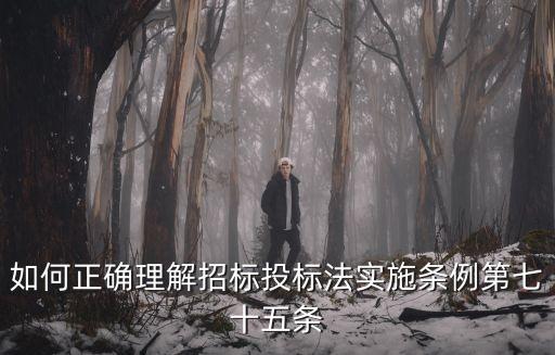 招標(biāo)法實(shí)施條例，違反招投標(biāo)法實(shí)施條例的怎么處理