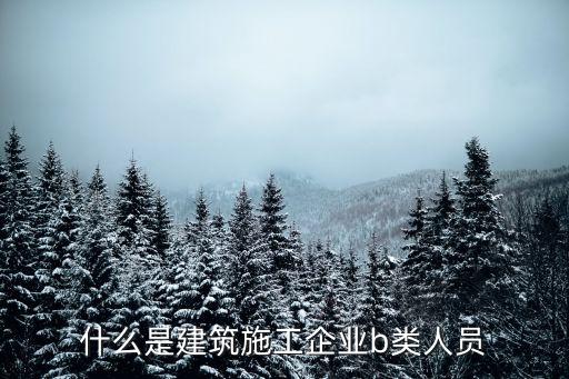 b類人才，什么是銀行B類工
