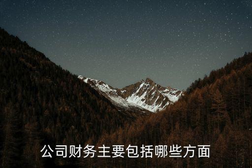 公司財務主要包括哪些方面