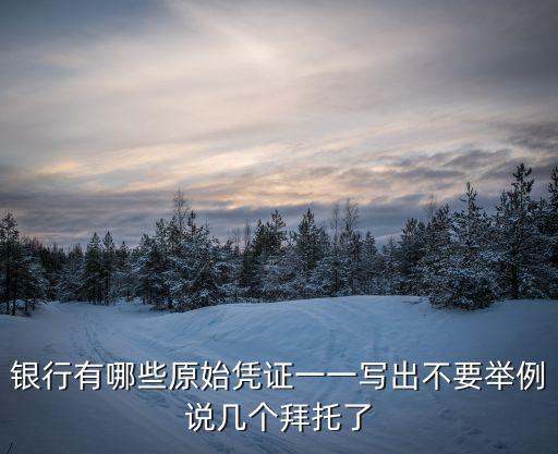 銀行憑證，銀行有哪些原始憑證一一寫出不要舉例說幾個(gè)拜托了