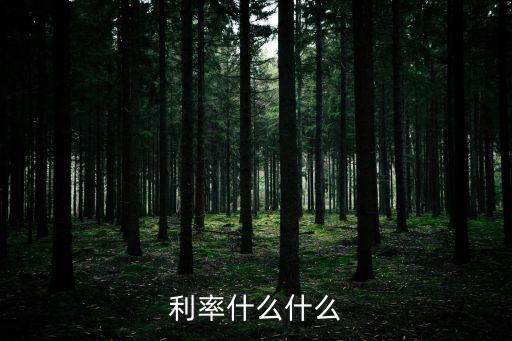 利率等于什么，利率
