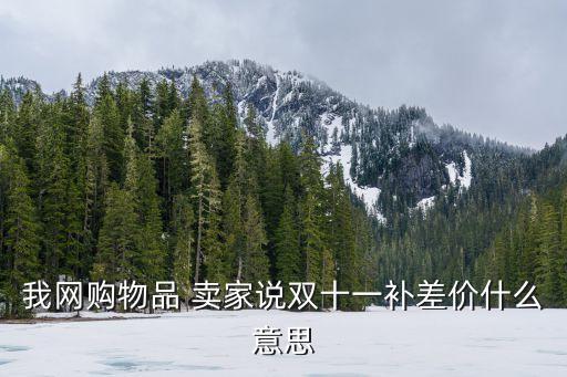 補差價是什么意思，我網(wǎng)購物品 賣家說雙十一補差價什么意思