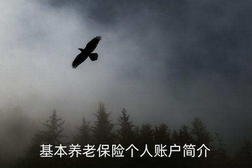 社保賬戶，社保帳號(hào)是什么