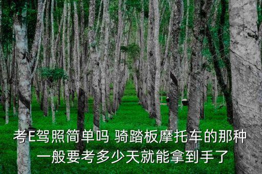 e駕照，C1增駕E照怎么申請