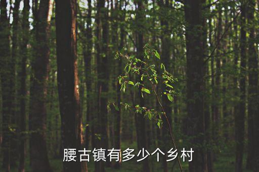 腰古鎮(zhèn)有多少個鄉(xiāng)村