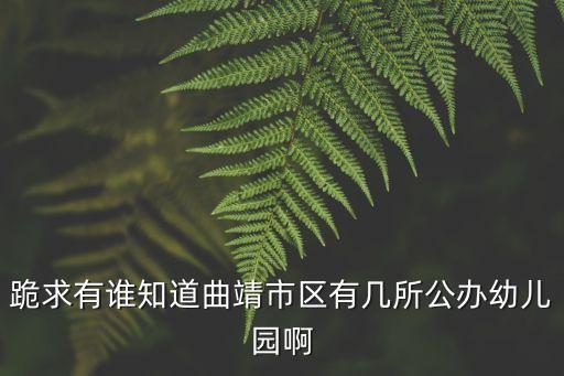 跪求有誰知道曲靖市區(qū)有幾所公辦幼兒園啊