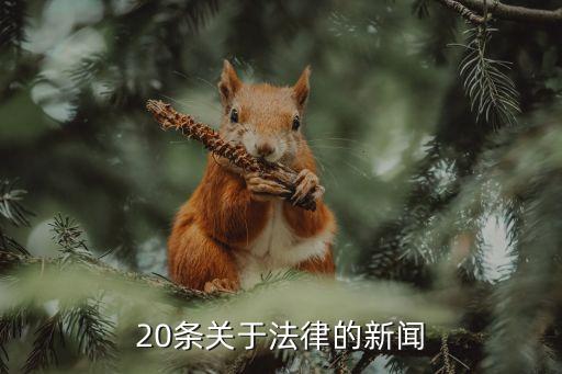 法律新聞，2010年2月有關(guān)法律的新聞