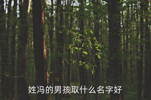 姓馮的男孩取什么名字好
