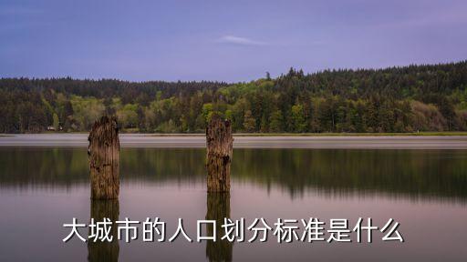 大城市的人口劃分標準是什么