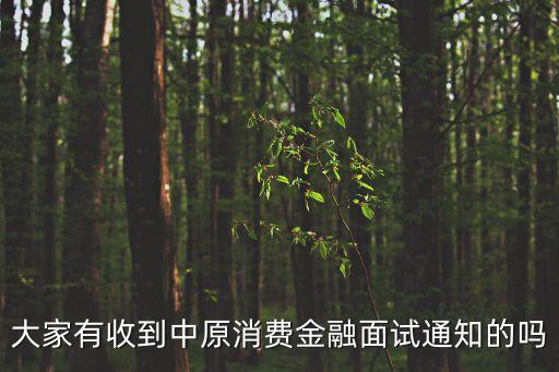大家有收到中原消費金融面試通知的嗎