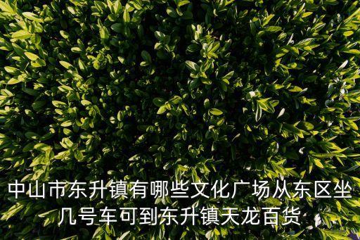 中山市東升鎮(zhèn)有哪些文化廣場從東區(qū)坐幾號車可到東升鎮(zhèn)天龍百貨