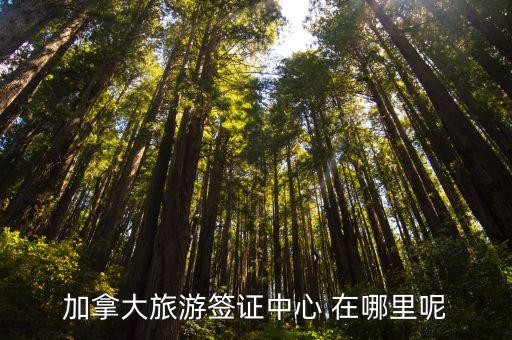 加拿大簽證申請(qǐng)中心，加拿大旅游簽證中心 在哪里呢