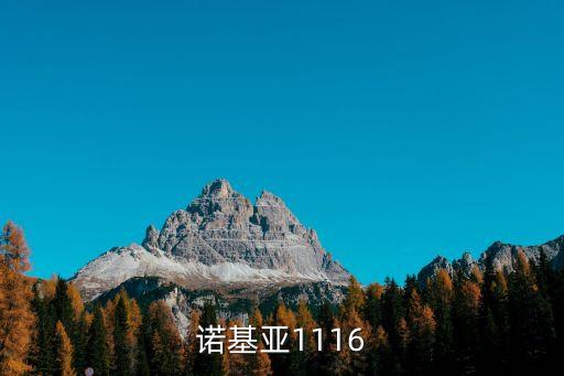 諾基亞1116