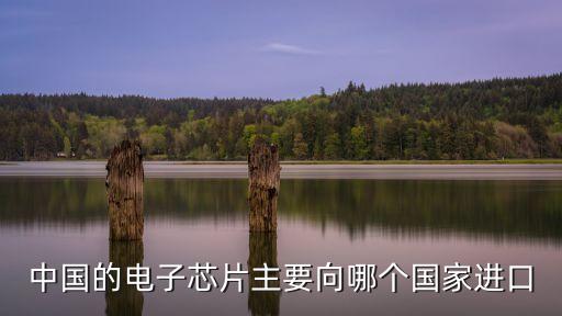 中國的電子芯片主要向哪個國家進口