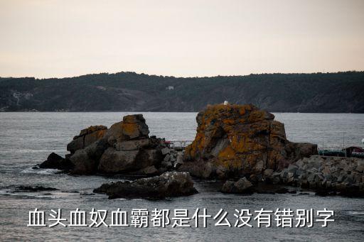 血霸，血頭血奴血霸都是什么沒有錯(cuò)別字
