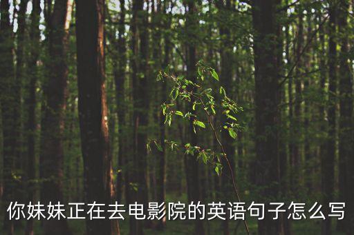 你妹妹正在去電影院的英語(yǔ)句子怎么寫(xiě)