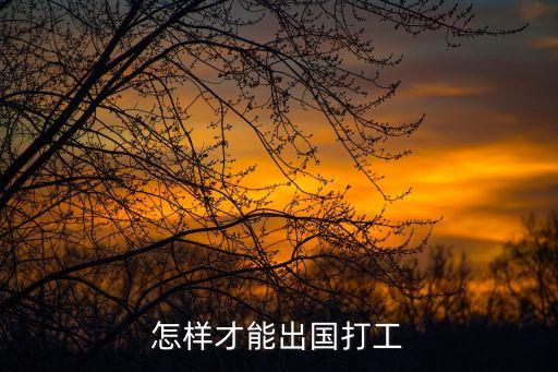 想出國打工，我想出國務(wù)工
