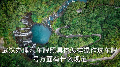 武漢辦理汽車牌照具體怎樣操作選車牌號(hào)方面有什么規(guī)定