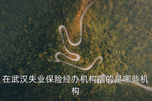經(jīng)辦機(jī)構(gòu)，社會保險經(jīng)辦機(jī)構(gòu)具體是什么機(jī)構(gòu)