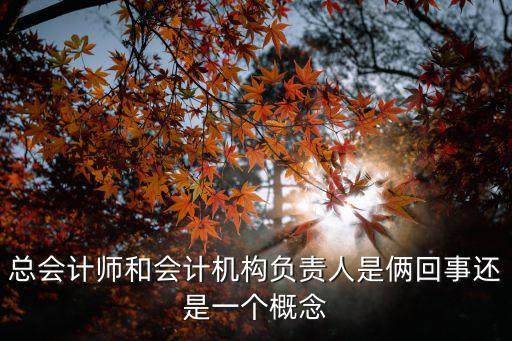 會計機(jī)構(gòu)負(fù)責(zé)人，擔(dān)任單位會計機(jī)構(gòu)負(fù)責(zé)人的條件