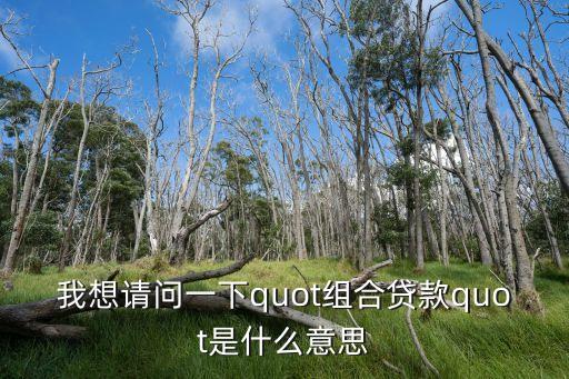 我想請問一下quot組合貸款quot是什么意思