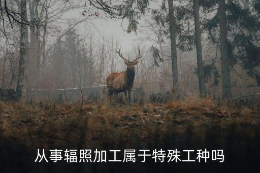 輻照加工，輻射加工主要包括什么