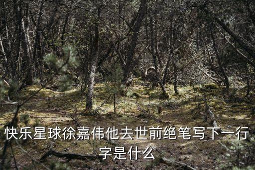 徐嘉偉，快樂(lè)星球徐嘉偉他去世前絕筆寫下一行字是什么