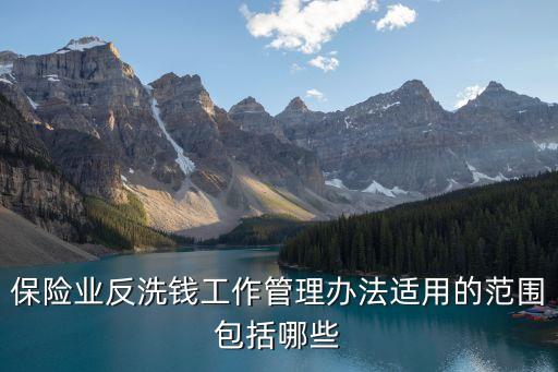 保險(xiǎn)業(yè)反洗錢工作管理辦法適用的范圍包括哪些