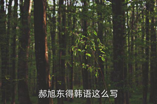 郝旭東，郝旭東得韓語這么寫
