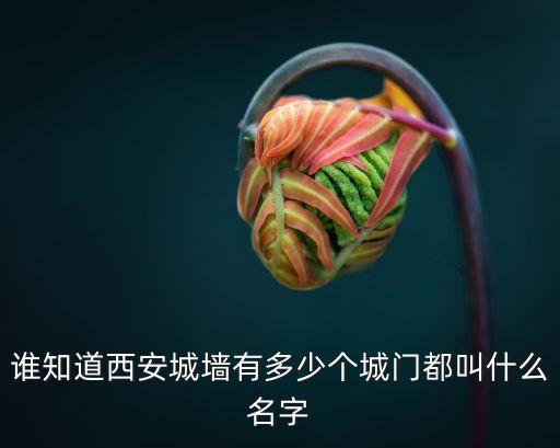 誰知道西安城墻有多少個城門都叫什么名字