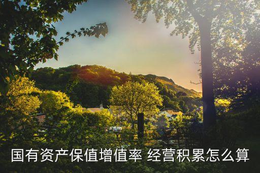 國(guó)有資產(chǎn)保值增值，國(guó)有資產(chǎn)保值增值的概念