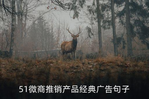51微商推銷產(chǎn)品經(jīng)典廣告句子