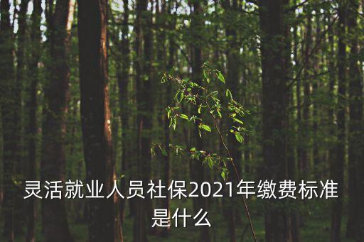 靈活就業(yè)人員社保2021年繳費標(biāo)準(zhǔn)是什么