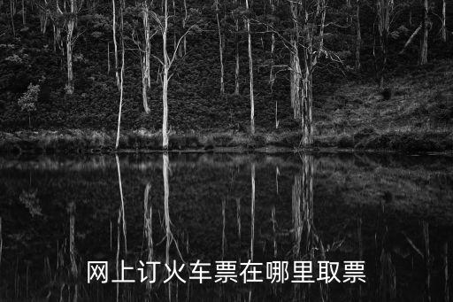 網(wǎng)上訂火車票在哪里取票