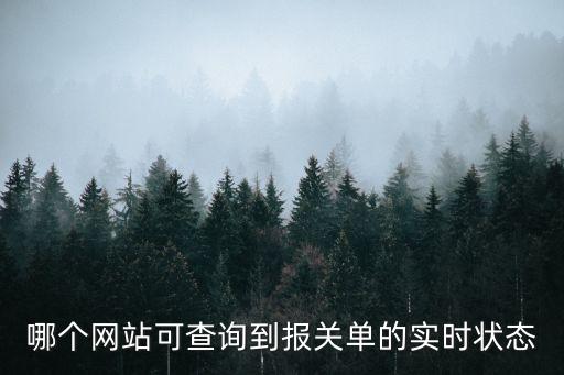 通關(guān)狀態(tài)查詢，哪個(gè)網(wǎng)站可查詢到報(bào)關(guān)單的實(shí)時(shí)狀態(tài)