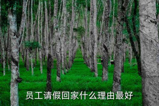 請(qǐng)假回家的理由，以什么理由為借口可以請(qǐng)假回家