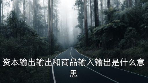 資本輸出輸出和商品輸入輸出是什么意思